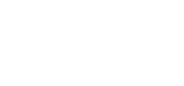 Hudson wordmark (white)